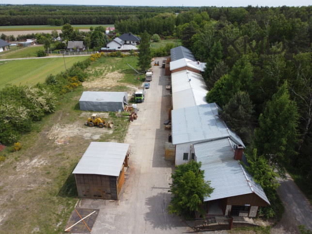 Obiekt Sprzedaż Skrobów-Kolonia 4