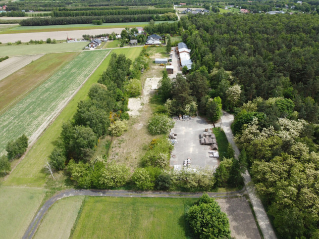 Magazyn Sprzedaż Skrobów-Kolonia 10